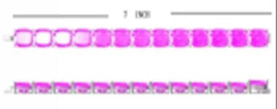 Sterling Silver Semi Mount Bracelet Setting Oval OV 14X10mm - Syzjewelry